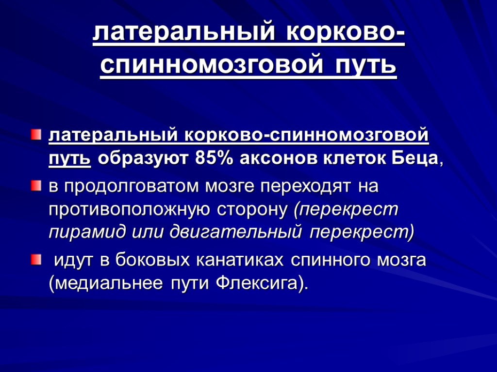 латеральный корково-спинномозговой путь латеральный корково-спинномозговой путь образуют 85% аксонов клеток Беца, в продолговатом мозге